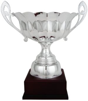 Copa clásica tipo ensaladera redonda con asas