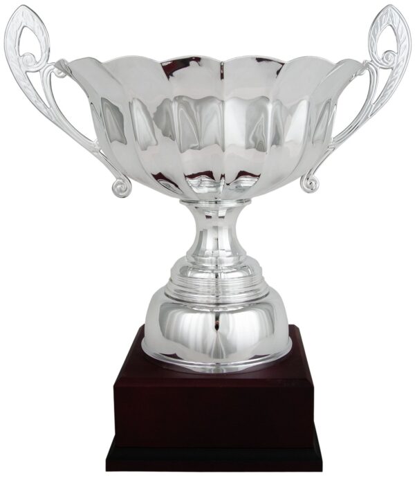 Copa clásica tipo ensaladera redonda con asas