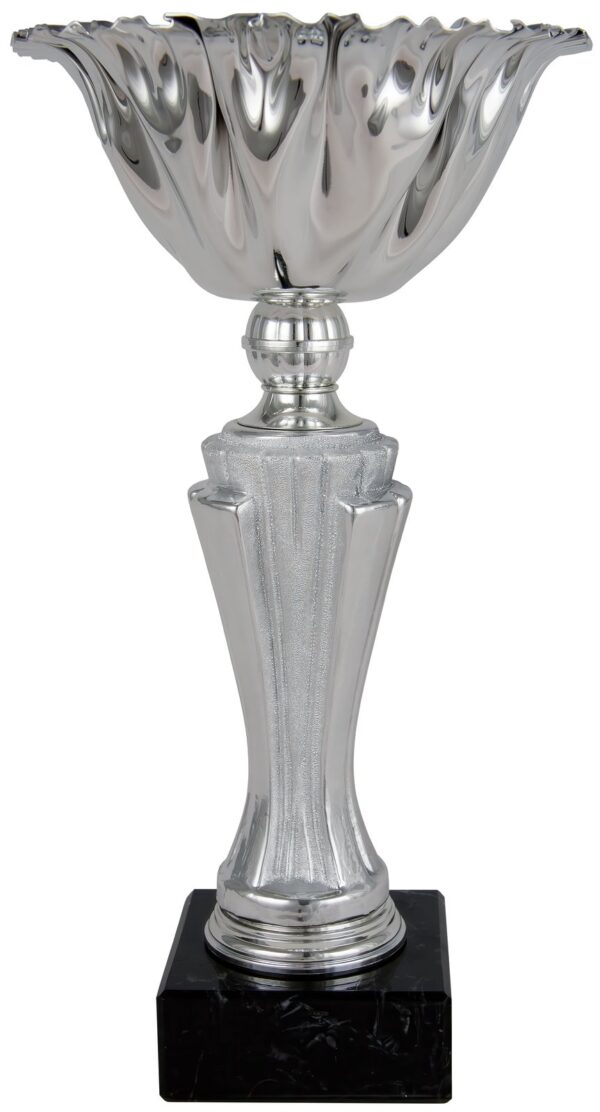 Copa económica vaso gallón de doble capa