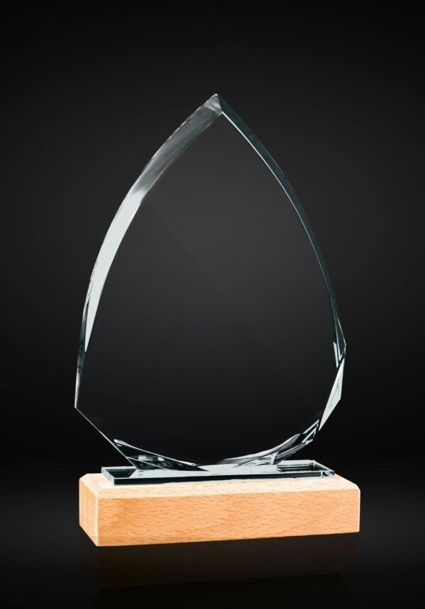 30004.jpg Trofeo de cristal flecha con base de madera