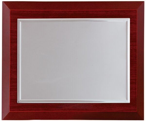 Placa plateada de borde liso